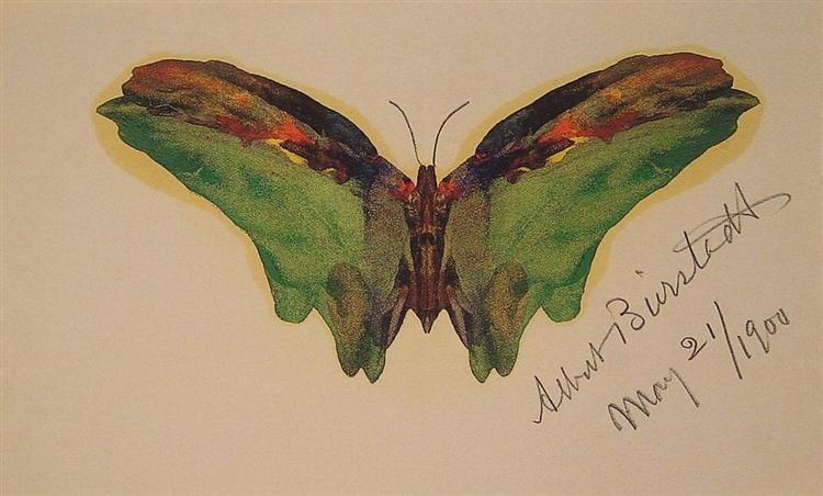 Albert Bierstadt Oil Painting Butterfly 1900